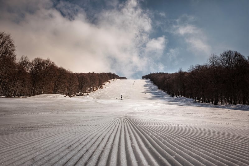 Skier in action